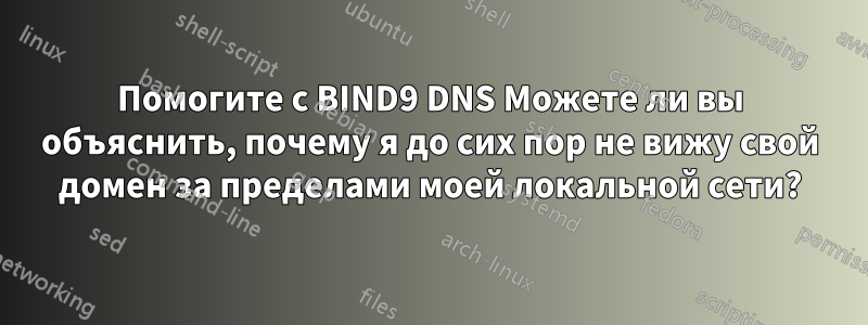 Помогите с BIND9 DNS Можете ли вы объяснить, почему я до сих пор не вижу свой домен за пределами моей локальной сети?