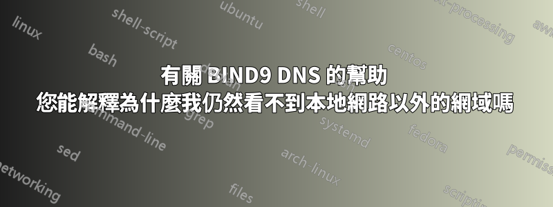 有關 BIND9 DNS 的幫助 您能解釋為什麼我仍然看不到本地網路以外的網域嗎