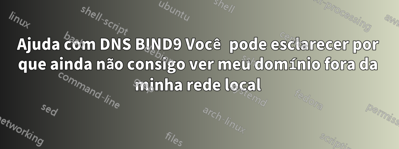 Ajuda com DNS BIND9 Você pode esclarecer por que ainda não consigo ver meu domínio fora da minha rede local