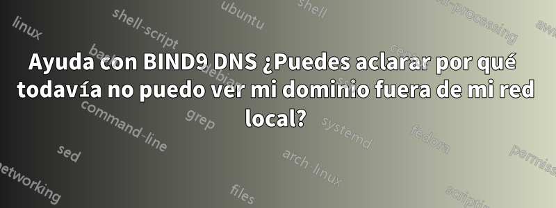 Ayuda con BIND9 DNS ¿Puedes aclarar por qué todavía no puedo ver mi dominio fuera de mi red local?