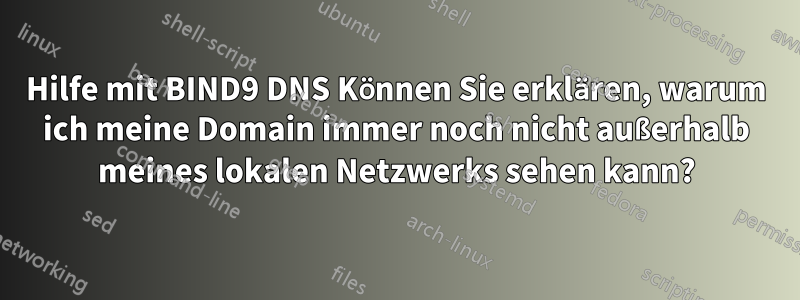 Hilfe mit BIND9 DNS Können Sie erklären, warum ich meine Domain immer noch nicht außerhalb meines lokalen Netzwerks sehen kann?