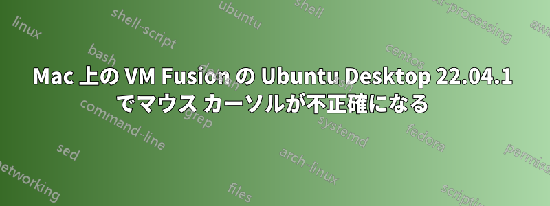 Mac 上の VM Fusion の Ubuntu Desktop 22.04.1 でマウス カーソルが不正確になる