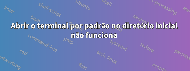 Abrir o terminal por padrão no diretório inicial não funciona