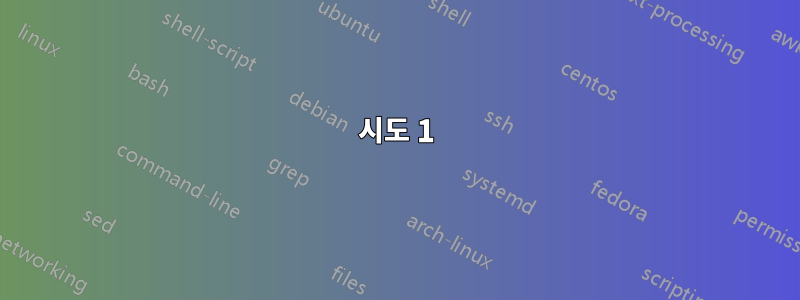 시도 1