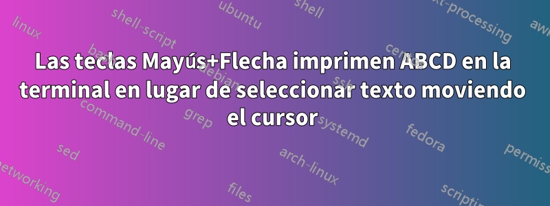 Las teclas Mayús+Flecha imprimen ABCD en la terminal en lugar de seleccionar texto moviendo el cursor