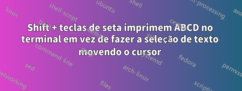 Shift + teclas de seta imprimem ABCD no terminal em vez de fazer a seleção de texto movendo o cursor