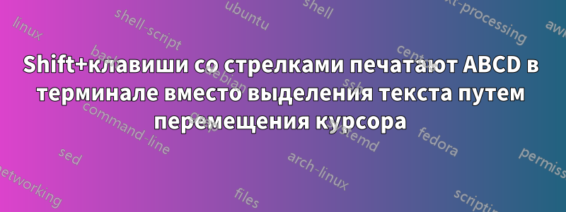 Shift+клавиши со стрелками печатают ABCD в терминале вместо выделения текста путем перемещения курсора