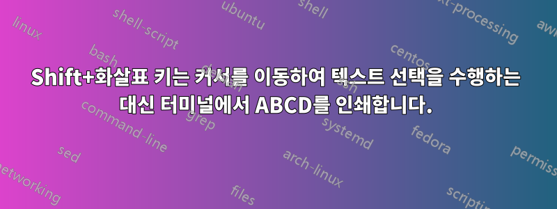 Shift+화살표 키는 커서를 이동하여 텍스트 선택을 수행하는 대신 터미널에서 ABCD를 인쇄합니다.