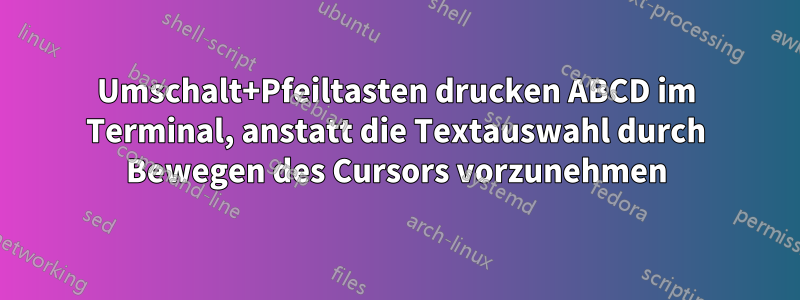 Umschalt+Pfeiltasten drucken ABCD im Terminal, anstatt die Textauswahl durch Bewegen des Cursors vorzunehmen