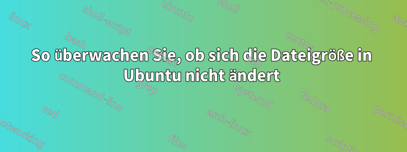 So überwachen Sie, ob sich die Dateigröße in Ubuntu nicht ändert