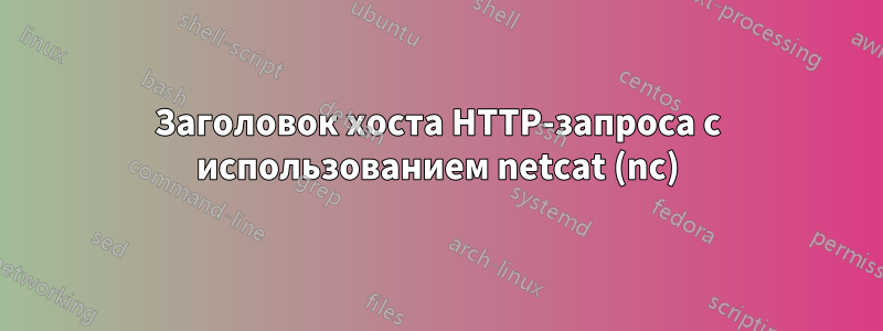 Заголовок хоста HTTP-запроса с использованием netcat (nc)