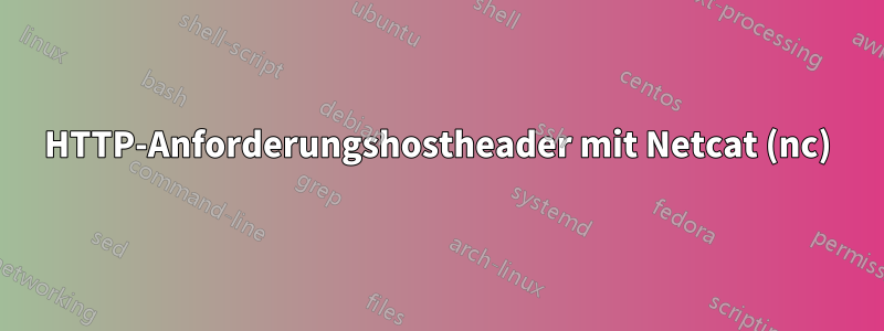 HTTP-Anforderungshostheader mit Netcat (nc)