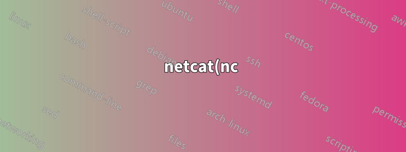netcat(nc)을 사용하는 HTTP 요청 호스트 헤더