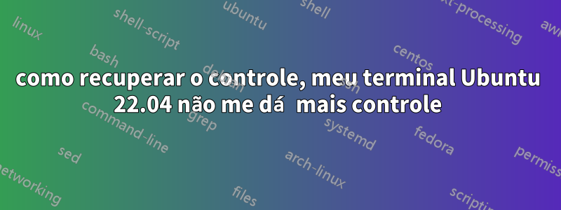 como recuperar o controle, meu terminal Ubuntu 22.04 não me dá mais controle