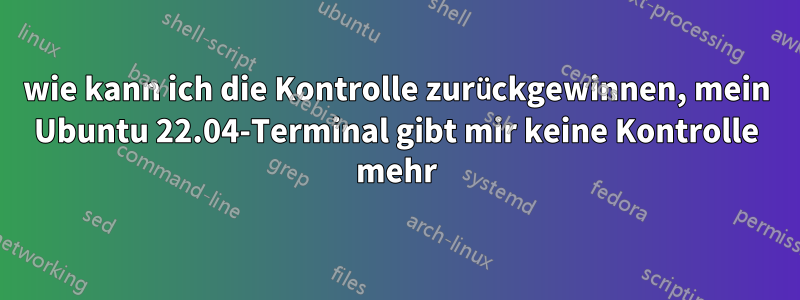 wie kann ich die Kontrolle zurückgewinnen, mein Ubuntu 22.04-Terminal gibt mir keine Kontrolle mehr