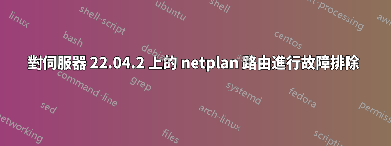 對伺服器 22.04.2 上的 netplan 路由進行故障排除