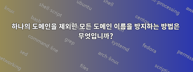 하나의 도메인을 제외한 모든 도메인 이름을 방지하는 방법은 무엇입니까?