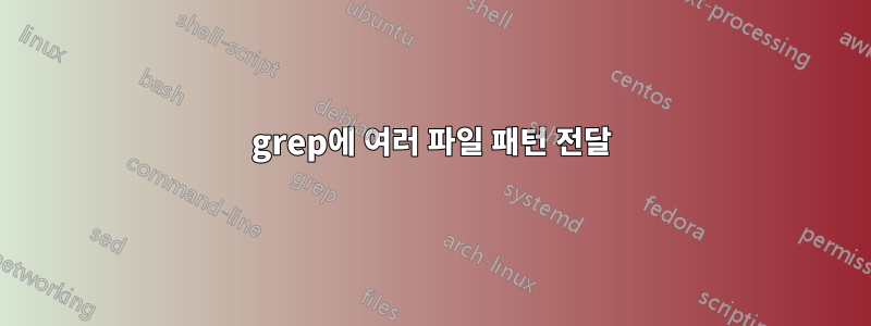 grep에 여러 파일 패턴 전달