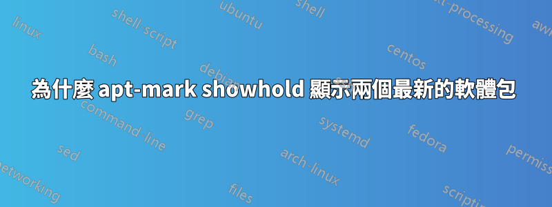 為什麼 apt-mark showhold 顯示兩個最新的軟體包