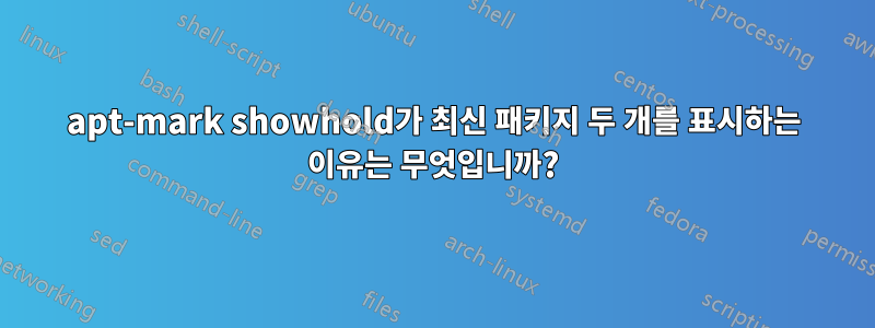 apt-mark showhold가 최신 패키지 두 개를 표시하는 이유는 무엇입니까?