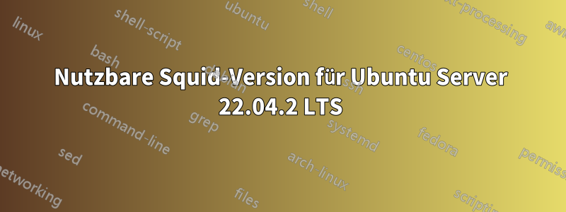 Nutzbare Squid-Version für Ubuntu Server 22.04.2 LTS