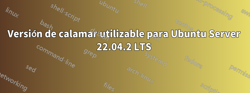 Versión de calamar utilizable para Ubuntu Server 22.04.2 LTS