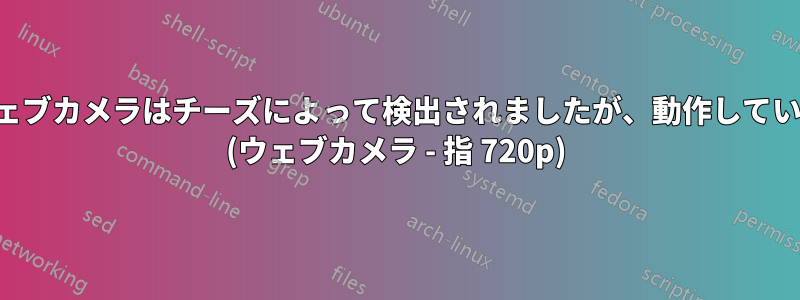 外部ウェブカメラはチーズによって検出されましたが、動作していません (ウェブカメラ - 指 720p)