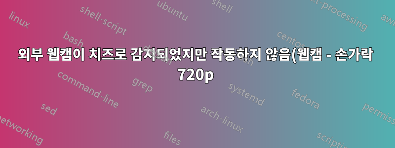 외부 웹캠이 치즈로 감지되었지만 작동하지 않음(웹캠 - 손가락 720p)