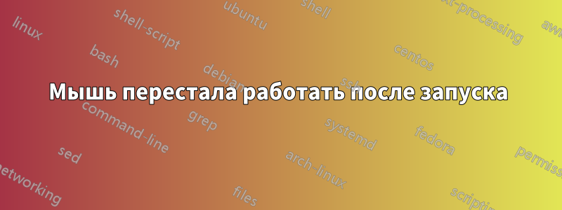 Мышь перестала работать после запуска