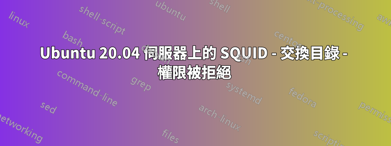 Ubuntu 20.04 伺服器上的 SQUID - 交換目錄 - 權限被拒絕