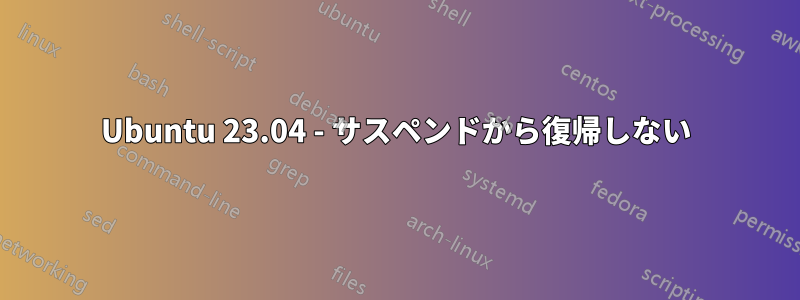 Ubuntu 23.04 - サスペンドから復帰しない