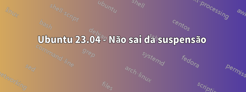 Ubuntu 23.04 - Não sai da suspensão