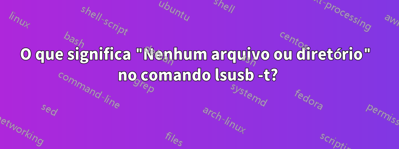 O que significa "Nenhum arquivo ou diretório" no comando lsusb -t?