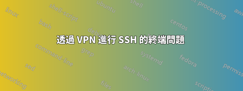 透過 VPN 進行 SSH 的終端問題