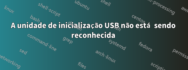 A unidade de inicialização USB não está sendo reconhecida