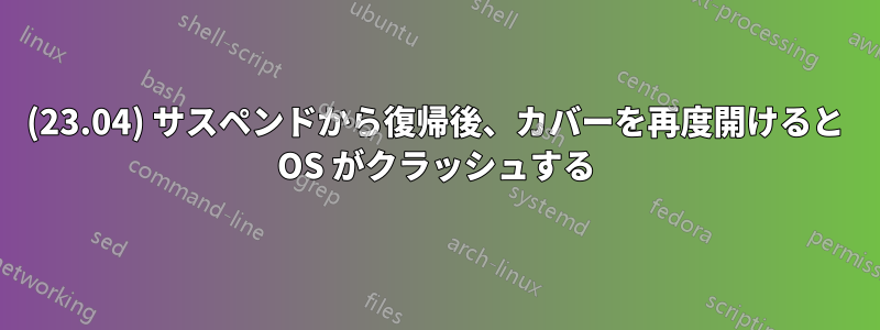 (23.04) サスペンドから復帰後、カバーを再度開けると OS がクラッシュする