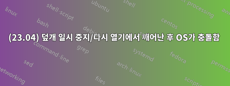 (23.04) 덮개 일시 중지/다시 열기에서 깨어난 후 OS가 충돌함