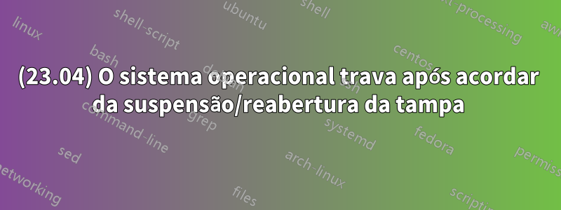 (23.04) O sistema operacional trava após acordar da suspensão/reabertura da tampa