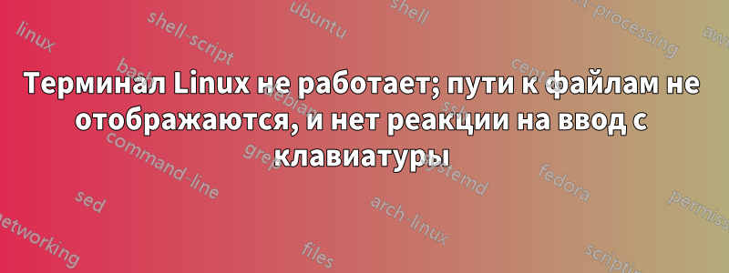 Терминал Linux не работает; пути к файлам не отображаются, и нет реакции на ввод с клавиатуры