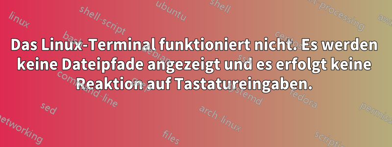 Das Linux-Terminal funktioniert nicht. Es werden keine Dateipfade angezeigt und es erfolgt keine Reaktion auf Tastatureingaben.