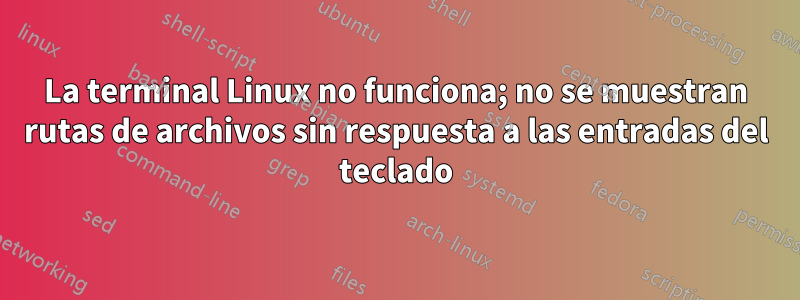 La terminal Linux no funciona; no se muestran rutas de archivos sin respuesta a las entradas del teclado