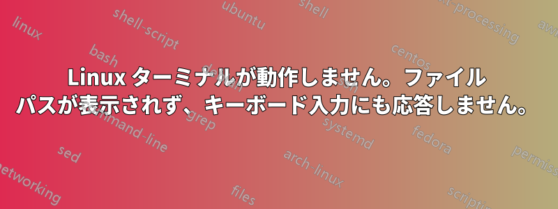 Linux ターミナルが動作しません。ファイル パスが表示されず、キーボード入力にも応答しません。