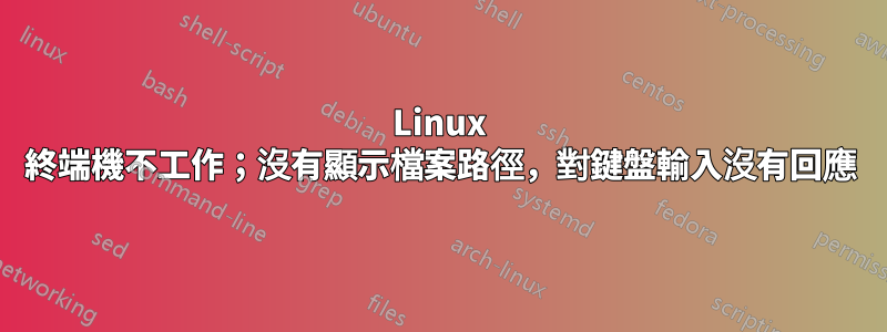 Linux 終端機不工作；沒有顯示檔案路徑，對鍵盤輸入沒有回應