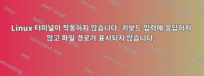 Linux 터미널이 작동하지 않습니다. 키보드 입력에 응답하지 않고 파일 경로가 표시되지 않습니다.