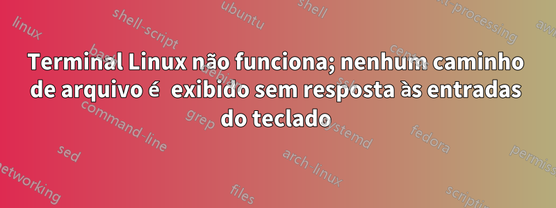 Terminal Linux não funciona; nenhum caminho de arquivo é exibido sem resposta às entradas do teclado