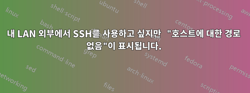 내 LAN 외부에서 SSH를 사용하고 싶지만 "호스트에 대한 경로 없음"이 표시됩니다.