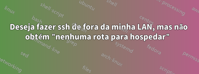 Deseja fazer ssh de fora da minha LAN, mas não obtém "nenhuma rota para hospedar"