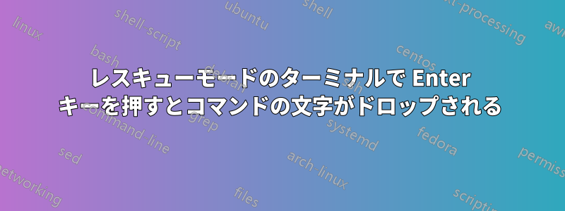 レスキューモードのターミナルで Enter キーを押すとコマンドの文字がドロップされる