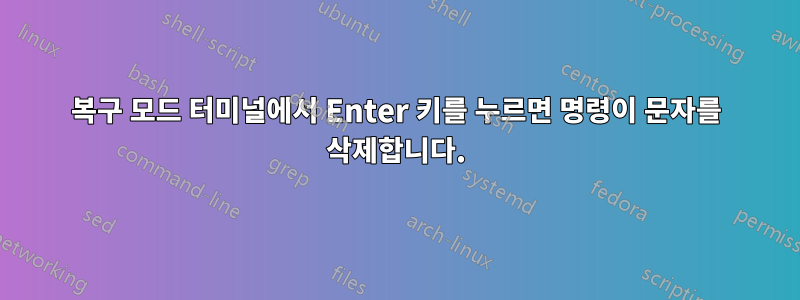 복구 모드 터미널에서 Enter 키를 누르면 명령이 문자를 삭제합니다.