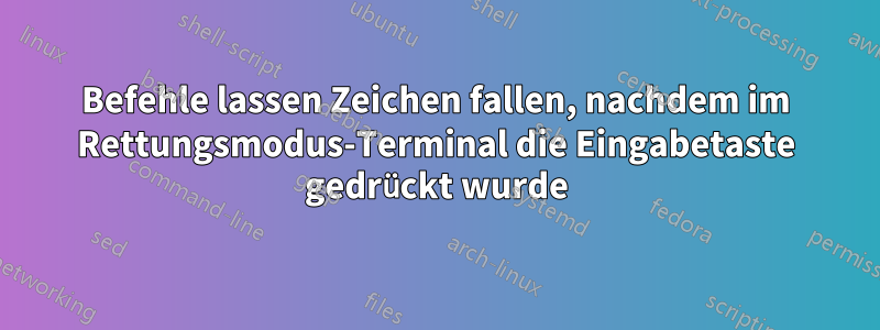 Befehle lassen Zeichen fallen, nachdem im Rettungsmodus-Terminal die Eingabetaste gedrückt wurde